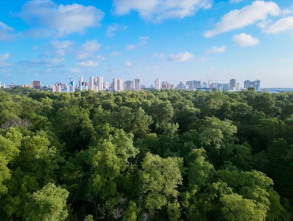 Quels sont les meilleurs moyens pour les écoles d'introduire l'éducation environnementale dans leur curriculum ?