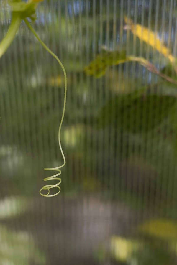 Quelles méthodes pédagogiques pour enseigner la programmation informatique aux enfants DYS (dyslexiques, dyspraxiques...) ?